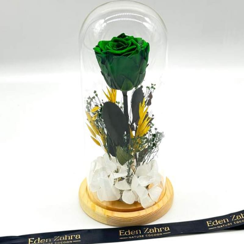 Cloche Eternal Emerald